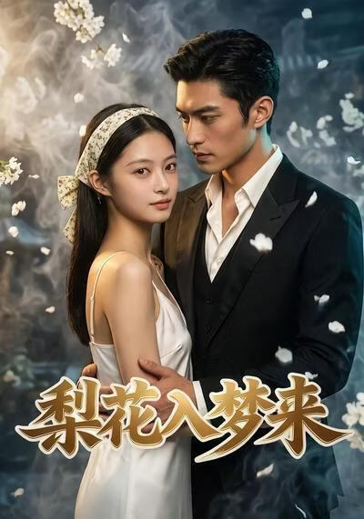 梨花入梦来(全集)